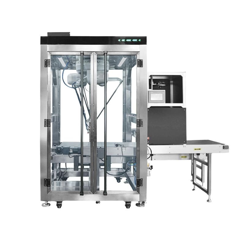 4 Axis Robotic Case Packer