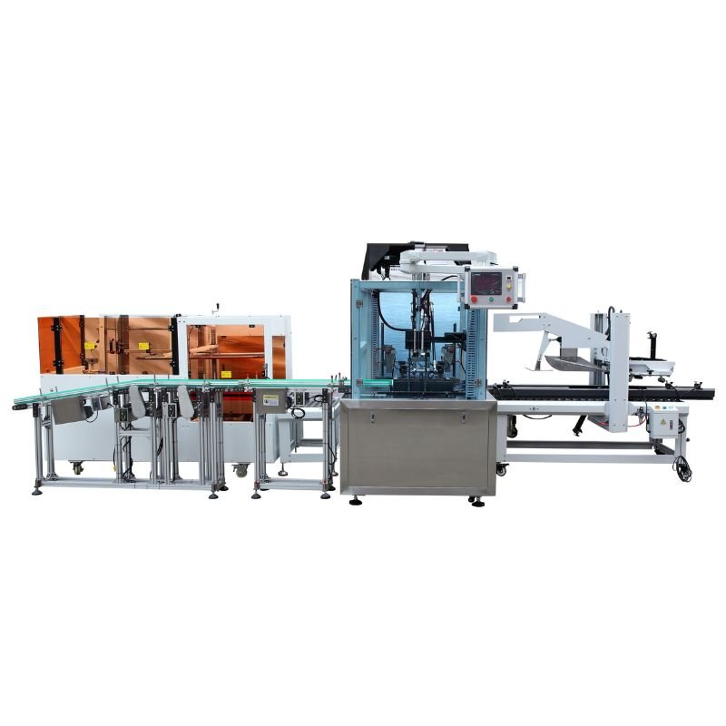 Wrap-Around Case Packer