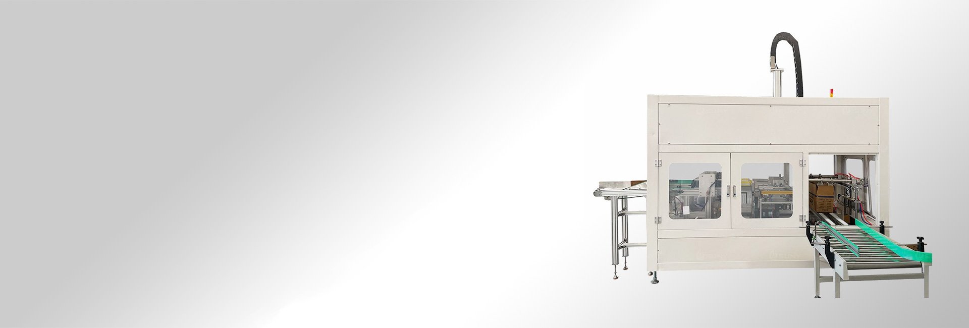 Automatic Case Packer Machine