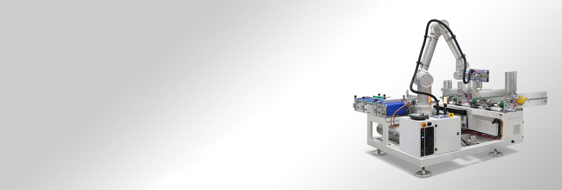 Robotic Cartoner